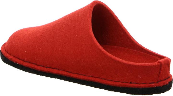 Immagine prodotto Haflinger Pantofola 311010-11 (42)