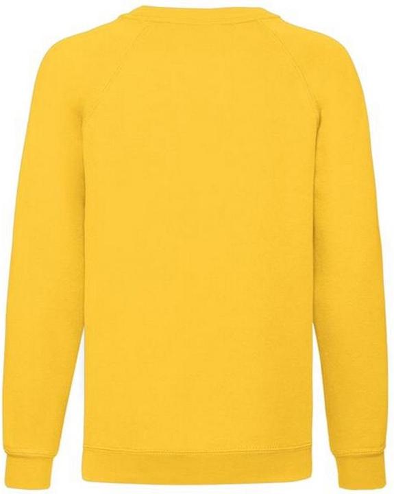 Produktbild Fruit of the Loom Pullover (116)