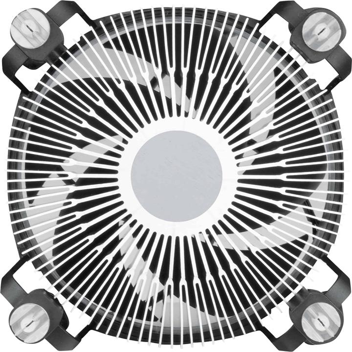Image du produit Arctic Alpine 17 CO (77 mm)