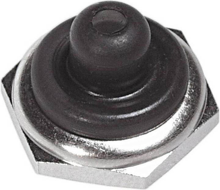Image du produit APEM Capuchon nickelé