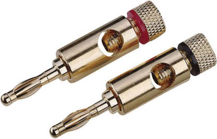 Actual product image No Name High-end banana plug, gold-plated