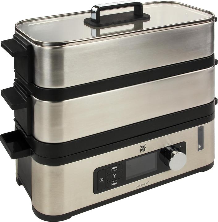 Mini cuiseur vapeur de cuisine
