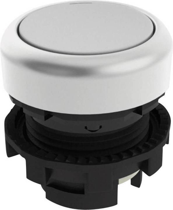 Actual product image Pizzato Elettrica Pushbutton flat E21PU2R