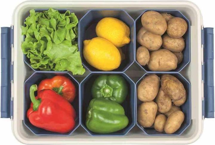 Actual product image Orthex Professional box (59 x 39 x 34 cm, 50 l)