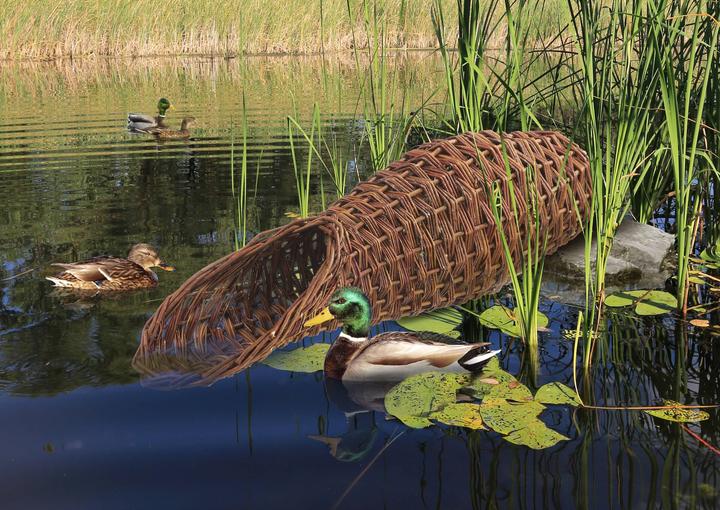Produktbild Best for Birds Entennest