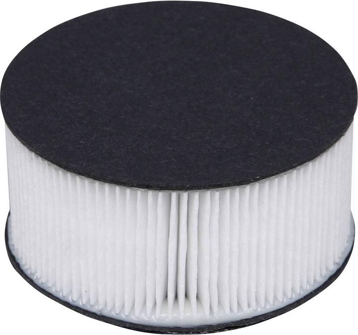 Actual product image Iris Ohyama Hoover filter