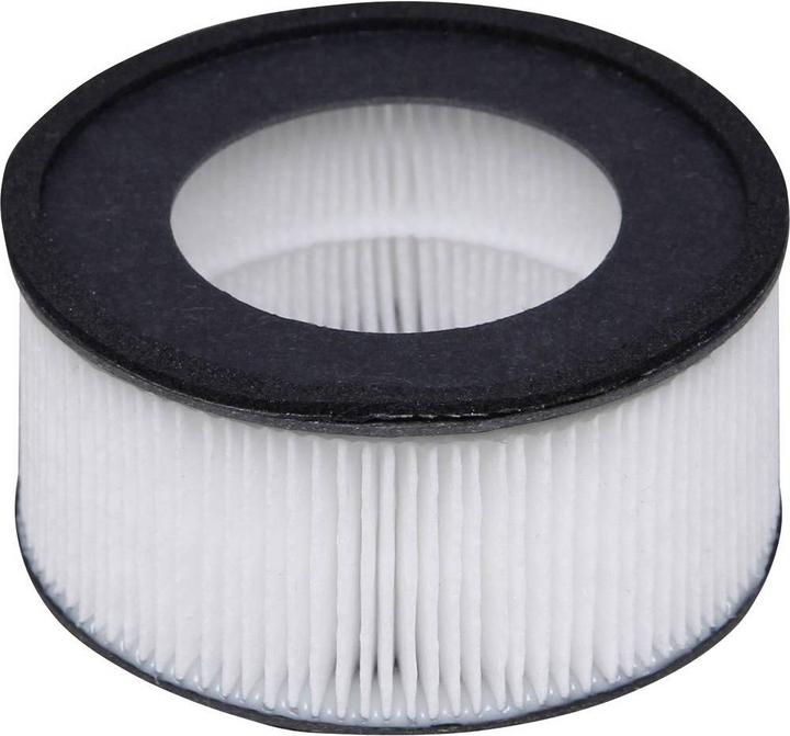 Actual product image Iris Ohyama Hoover filter