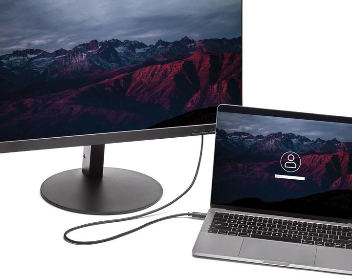 Image du produit StarTech USB Typ C — DVI (2 m, DVI)