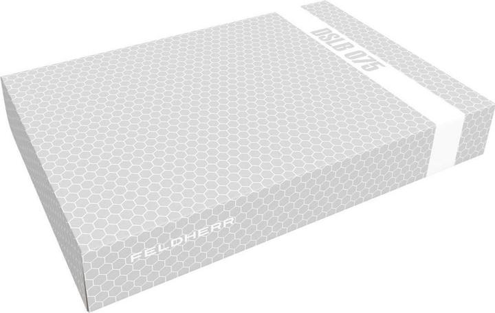 Actual product image Feldherr storage box DSLB075 for Chaos Daemons: Tzeentch