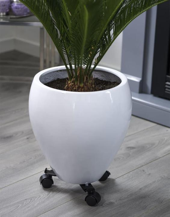 Actual product image Nature Silas