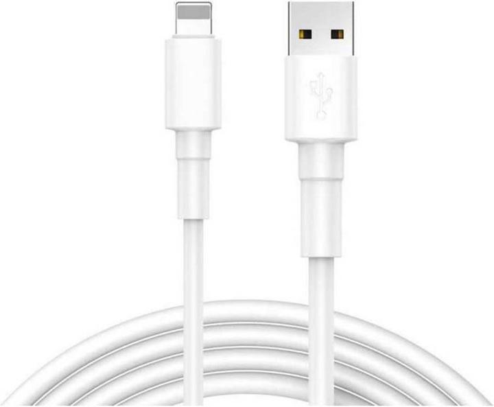 Reekin 2.4A SUPERFAST Ladekabel USB Lightning (1 m, USB 2.0)