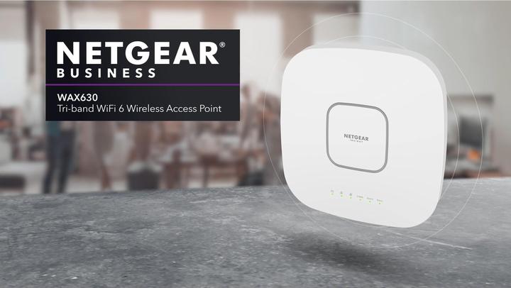 Actual product image Netgear WAX630 (2400 Mbit/s)