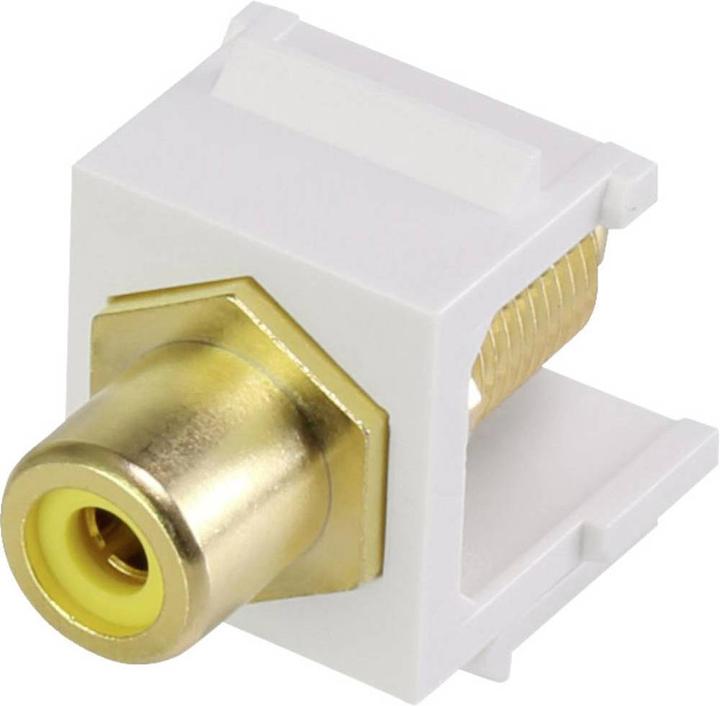 Image du produit Renkforce Module Keystone RCA /F RF-KS-RCAFG