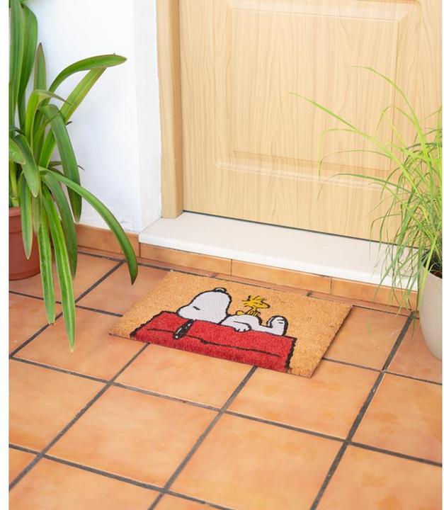 Produktbild Erik Die Peanuts - Schlafen auf dem Dach (60 x 40 cm)