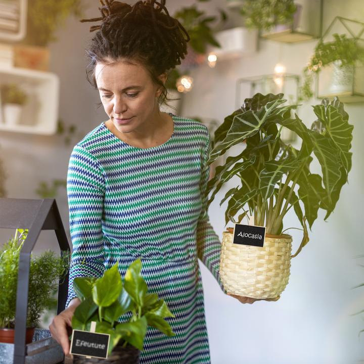 Actual product image Relaxdays Plant Label Clips, Pack of 48 (1.50 cm, 7.50 cm)