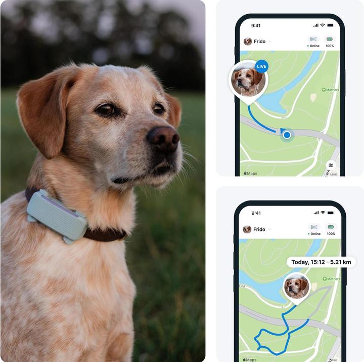 Image du produit Tractive GPS Tracker Dog 6 (Chien)