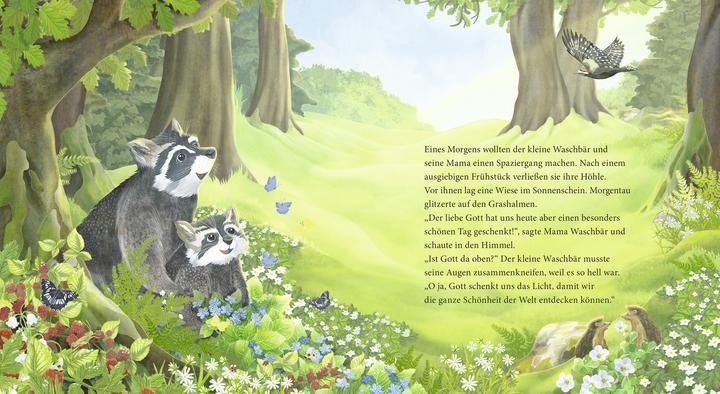 Actual product image Der kleine Waschbär fragt nach Gott – ein Bilderbuch für Kinder ab 2 Jahren (German, Lea Kässmann, 2020)