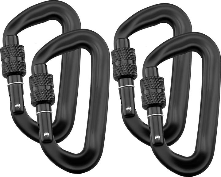 Intirilife Lot de 4 mousquetons pour charges lourdes