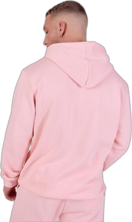 Image du produit Project X Paris sweatshirt à capuche avec broderie ogo (L)