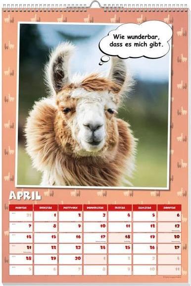 Actual product image Cool llamas poster calendar 2025 (German)