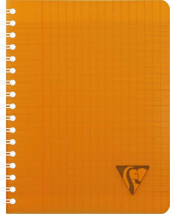 Immagine prodotto Clairefontaine Linicolor Fresh (A1, Righe, Copertina rigida)