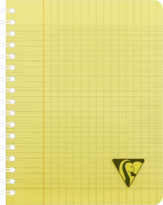 Immagine prodotto Clairefontaine Linicolor Fresh (A1, Righe, Copertina rigida)