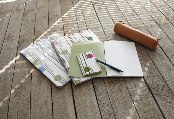 Actual product image Clairefontaine Punchy line (A4)