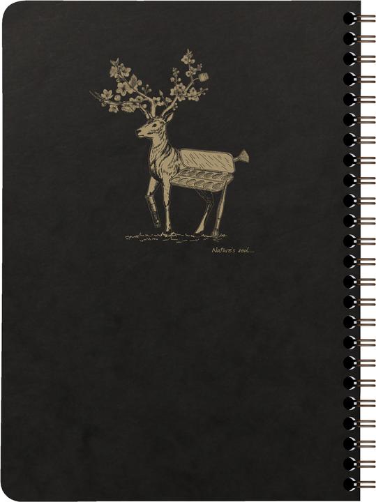 Actual product image Clairefontaine Flying Spirit (A5, Lined)