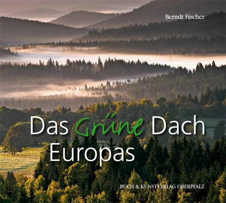 Actual product image Das grüne Dach (German, Berndt Ficher, Berndt Fischer, 2012)
