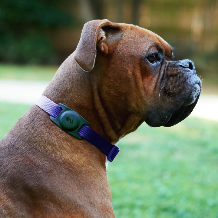 Image du produit Case-Mate AirTag Dog Collar Mount