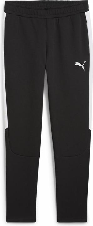 Image du produit Puma teamEVOSTRIPE Pants (M)