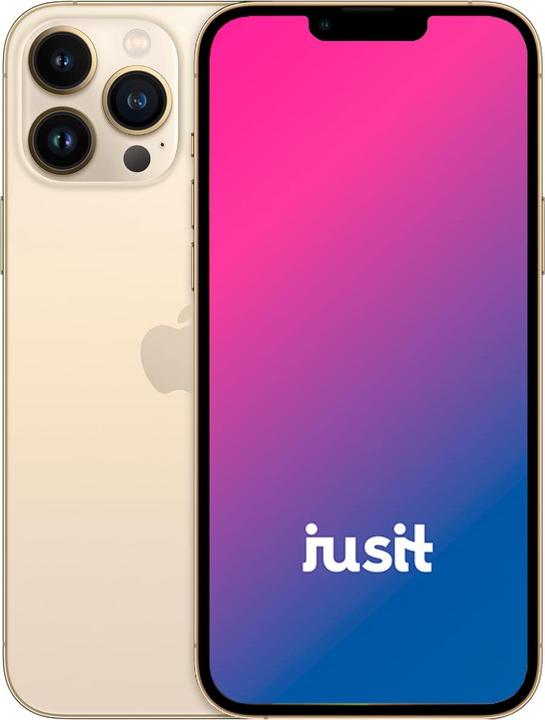 jusit iPhone 13 Pro Max (256 GB, Gold, 6.70", 0.00 Mpx, B / Sehr gut)