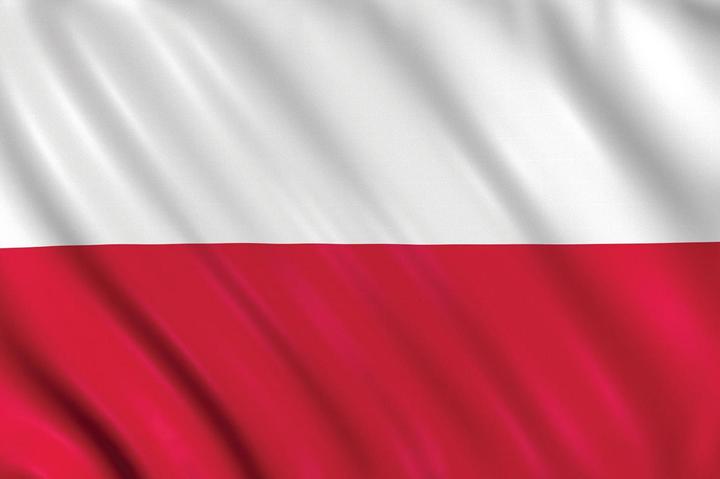Produktbild Amscan Fahne Polyester Polen