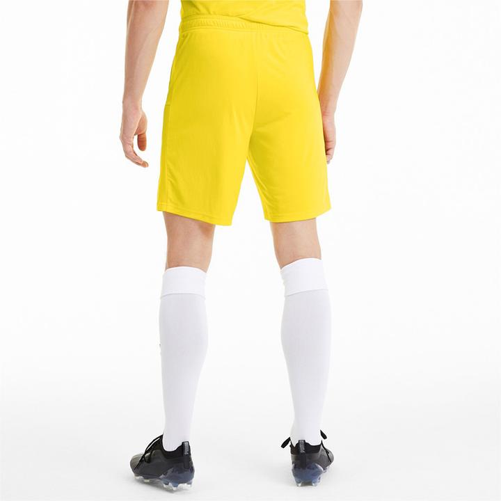 Actual product image Puma teamGOAL 23 knit shorts-704262 (46 E)