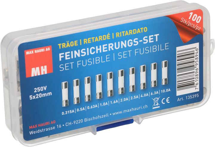 Image du produit Max Hauri Fine-wire fuse set (Microfusible, 10 A, Paresseux)
