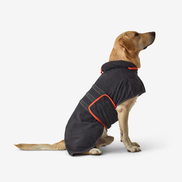 Immagine prodotto Solognac Gilet per cani (S, Gilet per cani)