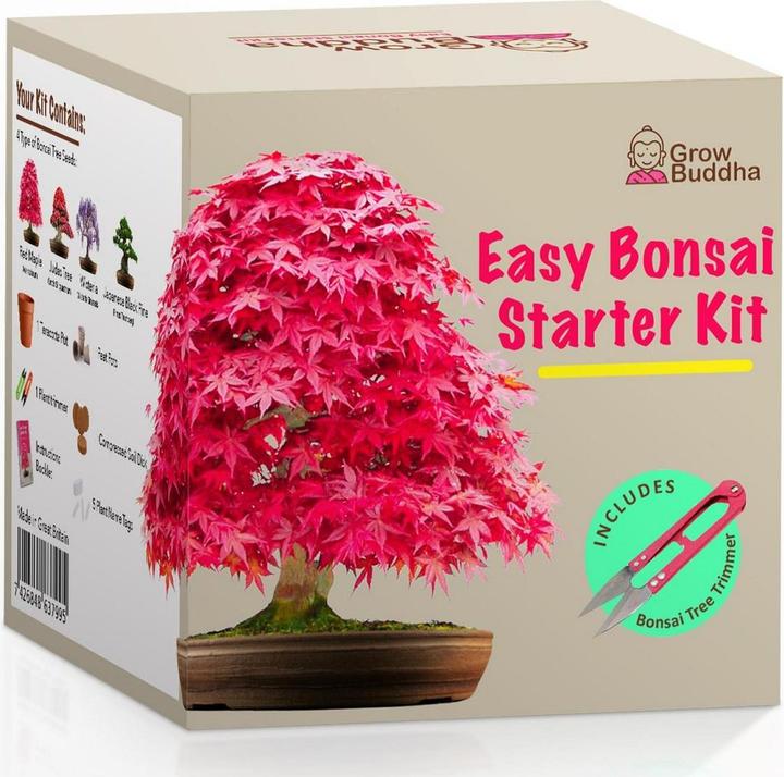 Produktbild Grow Buddha Aufzuchtset Bonsai