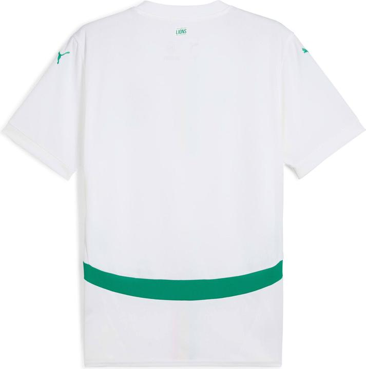 Image du produit Puma FSF Home Jersey Replica (XL)