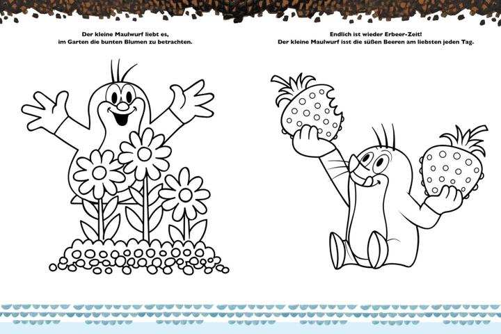 Image du produit Der kleine Maulwurf: Mein liebstes Stickerbuch