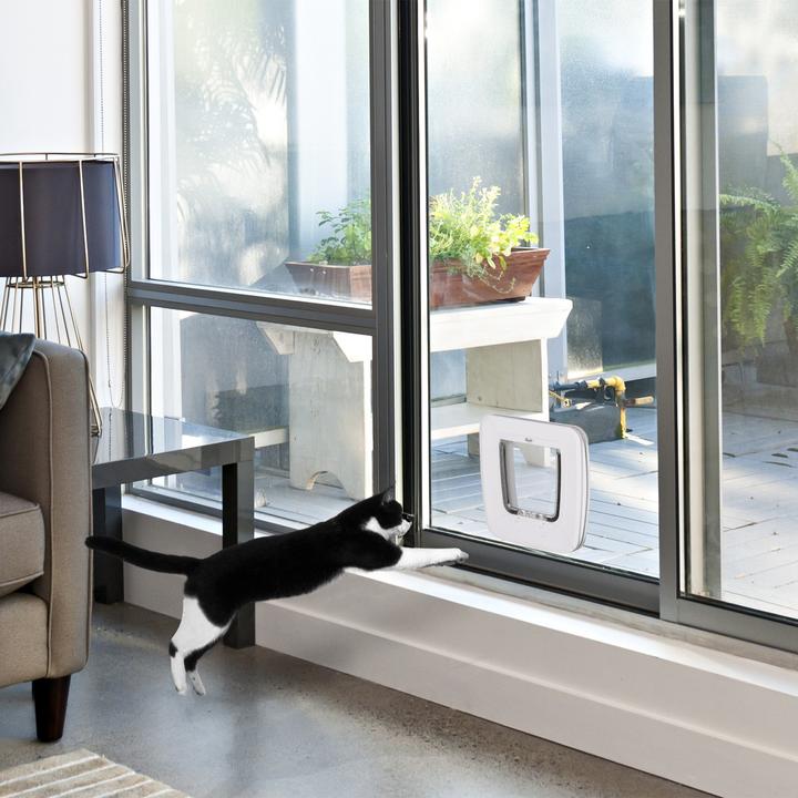 Actual product image PawHut Pet door with 4 way locking system (Manual cat flap)