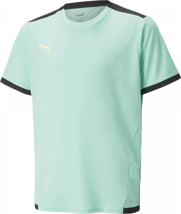 Image du produit Puma Maillot teamLIGA Jr-704925 (176)