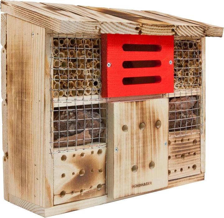 Windhager Zur Linde (Florfliegen, Hummeln, Marienkäfer, Ohrwürmer, Wildbienen)