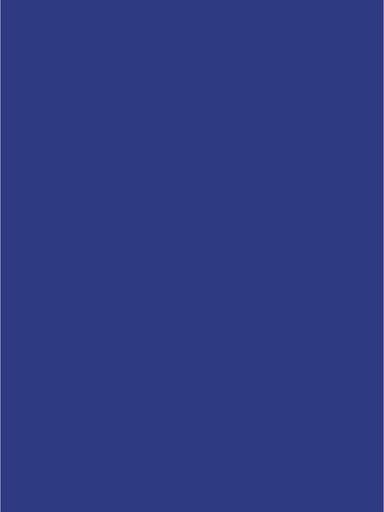 Immagine prodotto Clairefontaine Carta per poster (90 g/m², 25 x, 60 x 80 cm)