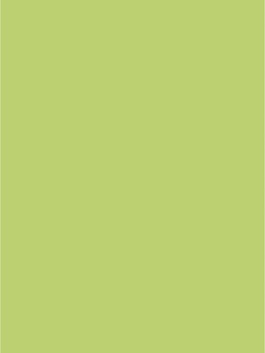 Actual product image Clairefontaine Poster paper (90 g/m², 25 x, 60 x 80 cm)