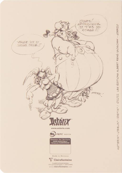 Immagine prodotto Clairefontaine Matite Asterix (AAA393, Righe, Copertina rigida)