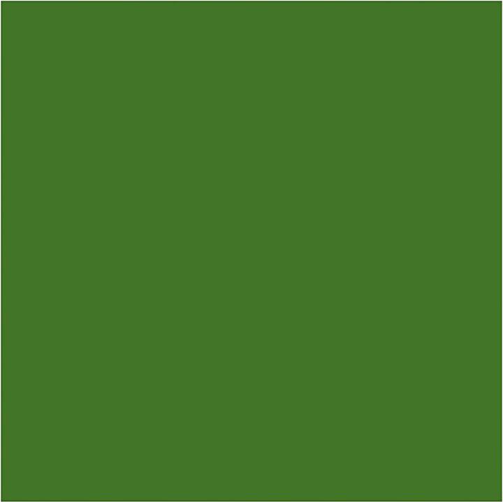 Immagine prodotto Creativ Company Tintura tessile Tintura tessile semicoprente - Verde oliva, 50 ml (Verde oliva, 50 ml)
