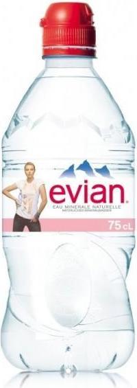 Evian Still Water (1 x 75 cl)