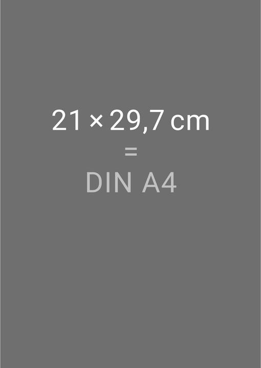 Actual product image Loriot Heile Welt Halbmonatskalender 2026 (German)