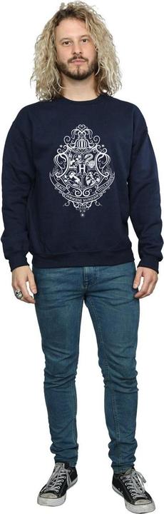 Actual product image Mens Hogwarts Draco Dormiens Crest Sweatshirt (L)