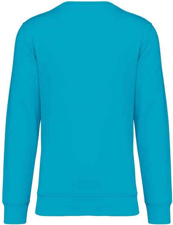 Immagine prodotto Native Spirit Felpa Girocollo Adulto Unisex (XXL)